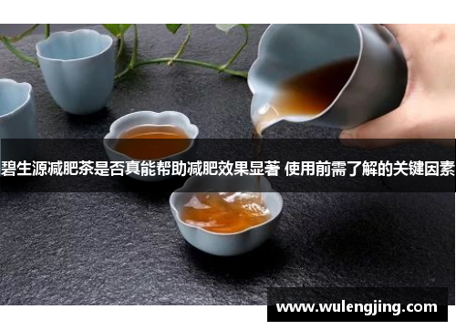 碧生源减肥茶是否真能帮助减肥效果显著 使用前需了解的关键因素